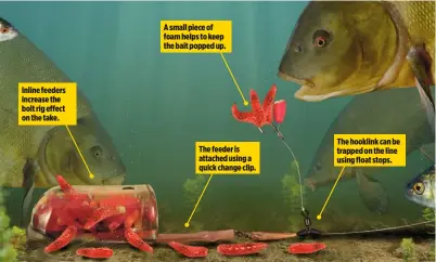  ??  ?? Inline feeders increase the bolt rig effect on the take. A small piece of foam helps to keep the bait popped up. The feeder is attached using a quick change clip. The hooklink can be trapped on the line using float stops.