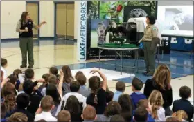  ?? CHAD FELTON — THE NEWS-HERALD ?? Lake Metroparks Wildlife Educationa­l Specialist Kirsten Bull, left, details a story of “King of the Raptors” and “animal ambassador,” Apollo, at St. Mary of the Assumption School in Mentor last week. Wildlife Education Manager Marilyn Levand stands to...