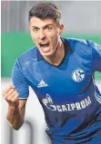  ?? FOTO: DPA ?? Traf zur Schalker Führung: Alessandro Schöpf.