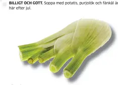  ??  ?? FÄNKÅL. Detta är en favorit som jag också gärna rostar i ugnen ihop med lax.