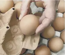  ??  ?? 0 Guidelines have been drawn up for egg producers