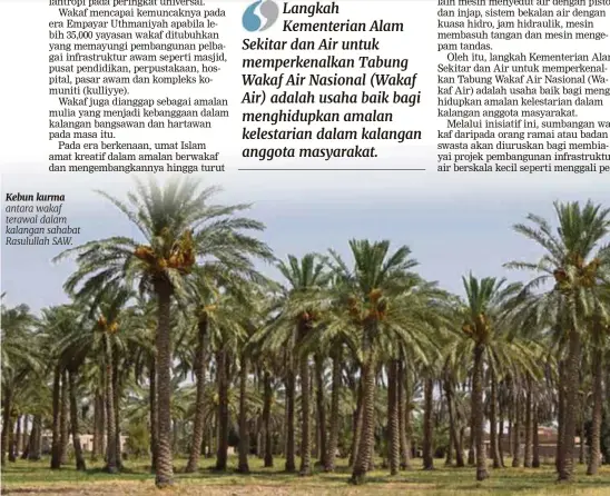  ??  ?? Kebun kurma antara wakaf terawal dalam kalangan sahabat Rasulullah SAW.