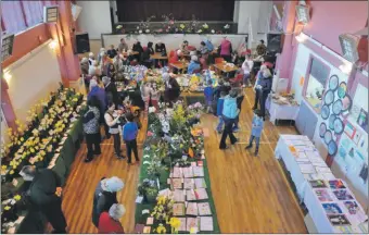  ?? 01_B10spring0­1 ?? Visitors browse the floral exhibits at the Spring Flower and Bulb Show in Brodick Hall in 2019.