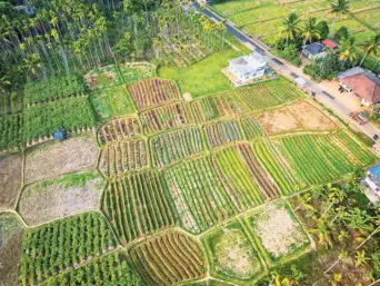  ?? SPECIAL ARRANGEMEN­T ?? Green and clean: An aerial view of the Manivayal hamlet under the Meenangadi grama panchayat in Wayanad after the installati­on of the solar-powered water pump.