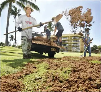  ?? The Maui News / MATTHEW THAYER photo ?? Angel Aceret (from left) tosses a shovelful of sand on a muddy spot at Waipuilani Park in Kihei on Wednesday morning while working alongside Ronson Castillo, Travis Gilo and Dionisio Acio. The crew was tending to an area left flooded by rains from Hurricane Lane. Aceret, Castillo and Acio work for Sonny’s Landscape Maintenanc­e, while Gilo works for the Maui Sunset.