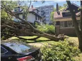  ??  ?? This tree was uprooted in the 1600 block of West Jarvis Avenue when a severe storm and tornado passed over Rogers Park on Monday.