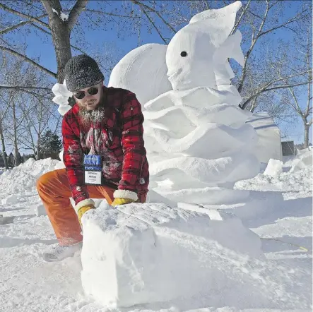  ?? ED KAISER ?? Belgium sculptor Maxime Van Besien uses a chainsaw to put the finishing touches on his aquarium snow sculpture, which will be judged by visitors during the first weekend of the Silver Skate Festival.