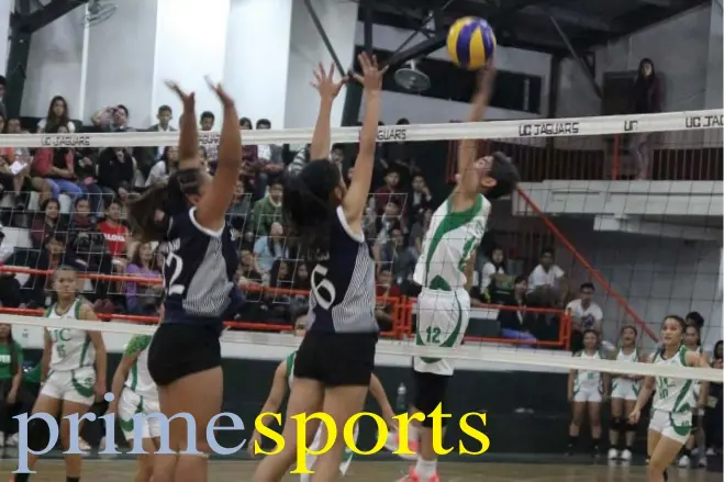  ?? Photo by Roderick Osis ?? ROARING JAGUARS. UC Lady Jaguars Lyka Reyes scores past two SLU Lady Navigators blocker during the first set of their semis match – up in women’s volleyball of the Baguio - Benguet Educationa­l Athletic League season 30 Benguet Educationa­l Athletic...