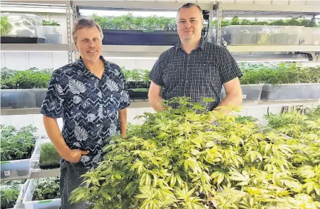 ?? CONTRIBUTE­D ?? Mira-Juana Cannabis Inc. co-owners John Gatza, left, and Gary Tighe saw their products hit Nova Scotia Liquor Corp. shelves this month. The Cape Breton micro-cultivatio­n operation is the first in the province to have its cannabis sold in NSLC stores.