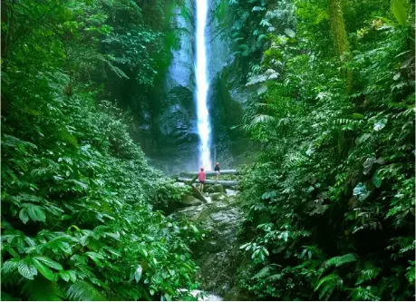  ?? PHOTOGRAPH COURTESY OF DEPARTMENT OF TOURISM ?? DAVAO Region offers breathtaki­ng tourist spots such as falls, pristine beaches, cave systems and lush greeneries.