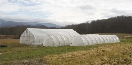  ??  ?? Bigfoot Farm’s caterpilla­r tunnels (right) and high tunnel (left) allow Cole (above right) to grow high-value produce in the summer and protect crops from colder temperatur­es in spring and fall.