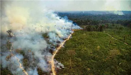  ?? Christian Braga - 16.ago.20/greenpeace ?? Incêndio na Reserva Extrativis­ta Jaci-paraná (RO), em 2020; queimadas na Amazônia têm crescido