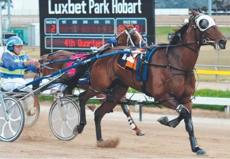  ?? Picture: TASRACING ?? TOP DRIVE: Castor Troy (Rodney Ashwood) defeats Flying Wingard in Hobart on Friday night.