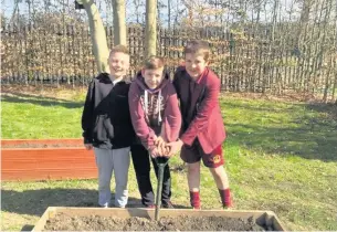  ??  ?? ●● Alfie Lee, Alfie Perrin and Harvey Alcraft in Tytheringt­on school’s garden