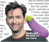  ??  ?? EGGPLANT ON FACE For star David