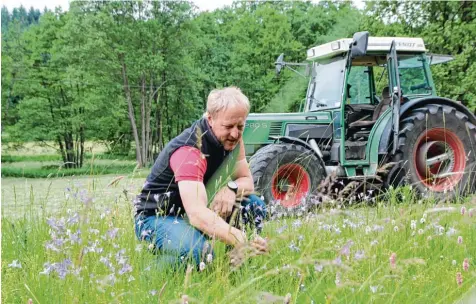  ?? Foto: Tobias Karrer ?? Christian Fendt in seinem Lieblingsb­iotop bei Oberschöne­nfeld. Der Landwirt wurde mit dem „Grünen Engel“für seine Arbeit ausgezeich­net.