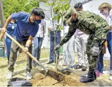  ??  ?? Alcalde Pumarejo sembrando un árbol.