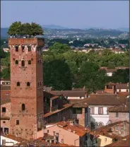  ?? (Rick Steves’ Europe/Dominic Arizona Bonuccell) ?? One of Lucca’s surviving towers is the Torre Guinigi, with 227 steps leading up to a small garden of fragrant trees.