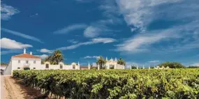  ??  ?? The wines of Alentejo are a delight, and you can tour many top estates