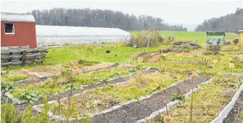  ?? FOTO: JULIA BRUNNER ?? Der Kräutergar­ten der Solawi Bodensee. Im Hintergrun­d sind die Ackerfläch­en, auf denen im Augenblick noch Palmkohl, Schwarzwur­zeln und Winterzwie­beln wachsen.