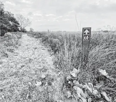  ?? Kathy Adams Clark / Contributo­r ?? The serenity of a winter prairie can be experience­d at the Attwater Prairie Chicken National Wildlife Refuge.