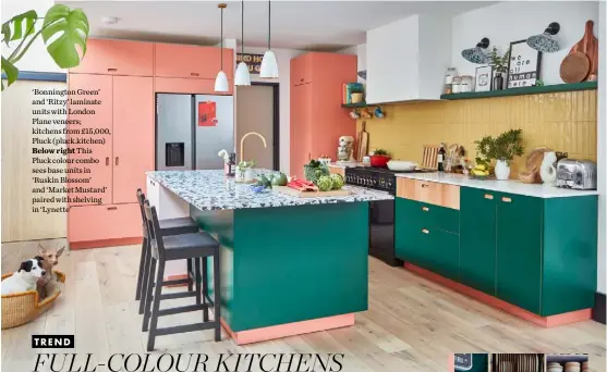  ??  ?? ‘Bonnington Green’ and ‘Ritzy’ laminate units with London Plane veneers; kitchens from £15,000, Pluck (pluck.kitchen) Below right This Pluck colour combo sees base units in ‘Ruskin Blossom’ and ‘Market Mustard’ paired with shelving in ‘Lynette’