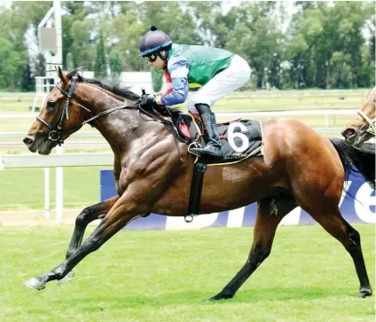  ??  ?? STRONG CREDENTIAL­S. Crazy Vision has raced against some decent opposition and off a light weight could be the runner to beat in Race 7 over 1450m at Turffontei­n today.