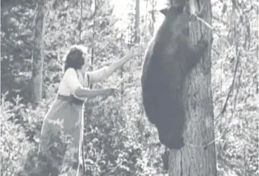  ??  ?? ACTION WOMAN Nell tries to help a bear climbing up a tree. Below, her car advert which became a short film