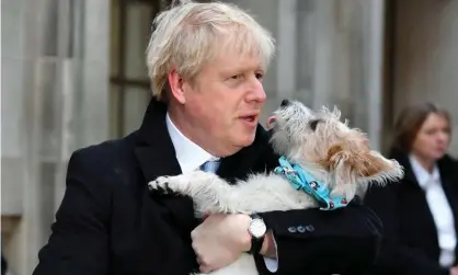  ?? Photograph: Dylan Martinez/Reuters ?? Boris Johnson with No 10 rescue dog Dilyn.