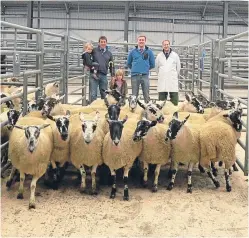 ??  ?? The first prize pen of mule gimmers at Forfar from Robert McNee Ltd, Over Finlarg.