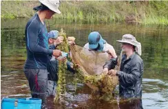  ?? Foto: dpa/Dr. Vivica von Vietinghof­f/Deutsches Meeresmuse­um ?? Auf Fischsuche in Surinam