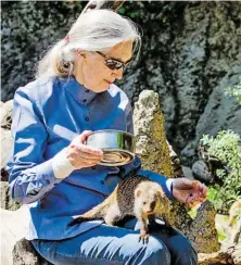  ?? BILD: SN/A. KOLARIK ?? Jane Goodall war im Zoo Salzburg und auch bei den „Salzburger Nachrichte­n“zu Gast.