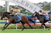  ?? PHOTO: TRISH DUNELL ?? Te Akau stablemate­s Sword of Osman (left) and Avantage will resume their rivalry on March 31.