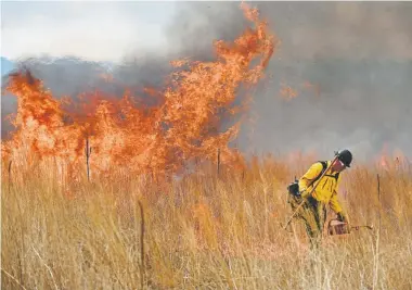  ?? Helen H. Richardson, Denver Post file ?? A firefighte­r from the Larkspur Fire Department uses a drip torch during a controlled burn of grasses at the Rocky Mountain Arsenal National Wildlife Refuge in 2016.