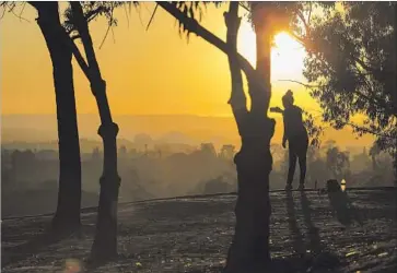  ?? Gina Ferazzi Los Angeles Times ?? JESSICA ARELLANO of Los Angeles takes a photo in Elysian Park. Lawmakers whose votes may be needed to continue climate change efforts want more money directed to poor communitie­s that suffer more pollution.