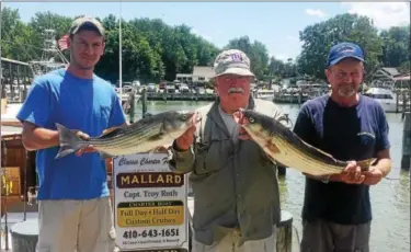  ?? TOM TATUM - FOR DIGITAL FIRST MEDIA ?? Outdoor writer and radio host Doyle Dietz, center, with his two rockfish, flanked by mate Tucker Ruth (left) and Captain Troy Ruth of the charter boat Mallard out of Kenmorr Marina.