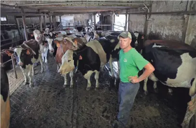  ?? PHOTOS BY MIKE DE SISTI/MILWAUKEE JOURNAL SENTINEL ?? Rick Roden monitors cattle as they move into a milking station at the dairy farm his father, Bob Roden, and he own south of Newberg in the Town of Trenton.