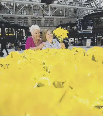  ??  ?? Marie Curie nurse Liz Arnott and Linda Tierney, who is receiving support from the charity, at the unveiling of its Garden of Light at Glasgow’s Central Railway Station concourse yesterday to mark the charity’s annual Great Daffodil Appeal