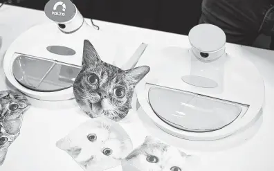  ?? Robyn Beck / AFP / Getty Images ?? Mookkie, set to be released this fall, is a smart pet feeder that uses facial recognitio­n to release meals to cats and dogs.