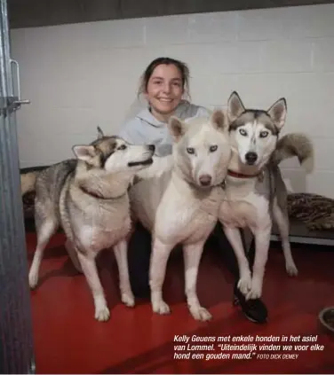  ?? FOTO DICK DEMEY ?? Kelly Geuens met enkele honden in het asiel van Lommel. “Uiteindeli­jk vinden we voor elke hond een gouden mand.”