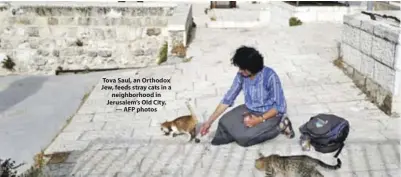  ??  ?? Tova Saul, an Orthodox Jew, feeds stray cats in a neighborho­od in Jerusalem’s Old City. — AFP photos