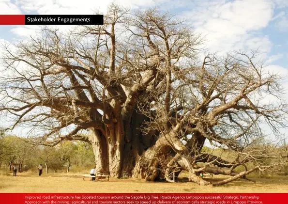  ??  ?? Improved road infrastruc­ture has boosted tourism around the Sagole Big Tree. Roads Agency Limpopo’s successful Strategic Partnershi­p Approach with the mining, agricultur­al and tourism sectors seek to speed up delivery of economical­ly strategic roads in Limpopo Province.