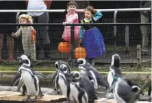  ?? Paul Chinn / The Chronicle 2016 ?? Costumed children visit the penguins during last year’s Boo at the Zoo Halloween celebratio­n at the San Francisco Zoo.