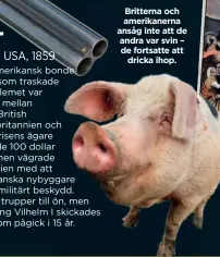  ??  ?? Britterna och amerikaner­na ansåg inte att de andra var svin – de fortsatte att dricka ihop.