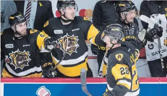  ?? JONATHAN HAYWARD THE CANADIAN PRESS ?? Hamilton Bulldogs forward Marian Studenic celebrates his goal with his teammates Monday night. Studenic’s late third-period marker gave Hamilton a 2-1 win over the Swift Current Broncos.