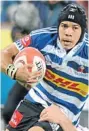  ??  ?? FORGET SIZE: Cheslin Kolbe challenges perception­s