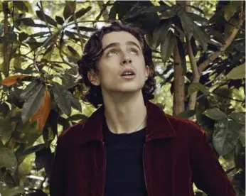  ?? RYAN PFLUGER/THE NEW YORK TIMES FILE PHOTO ?? Timothée Chalamet in West Hollywood, Calif., in November. Call Me by Your Name, one of two new films he stars in, is a coming-of-age story about two young men who fall in love during a summer in Italy decades ago.