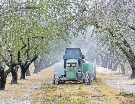 ?? Marcus Yam Los Angeles Times ?? A FARMWORKER sprays nutrients at an almond farm in Modesto in 2015. California’s nut industry sold $1.1 billion to China in 2016.