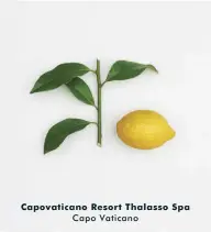  ??  ?? Capovatica­no Resort Thalasso Spa Capo Vaticano