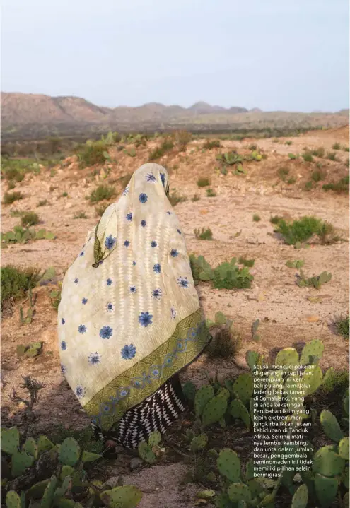  ??  ?? Seusai mencuci pakaian di genangan tepi jalan, perempuan ini kembali pulang. Ia melalui ladang bekas tanam di Somaliland, yang dilanda kekeringan. Perubahan iklim yang lebih ekstrem menjungkir­balikkan jutaan kehidupan di Tanduk Afrika. Seiring matinya lembu, kambing, dan unta dalam jumlah besar, penggembal­a seminomade­n ini tidak memiliki pilihan selain bermigrasi.